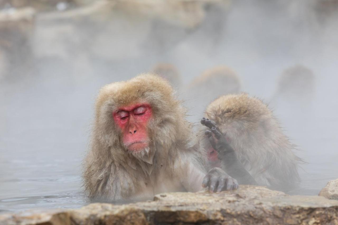 Fukeikan 風景館 Takayama  Екстер'єр фото